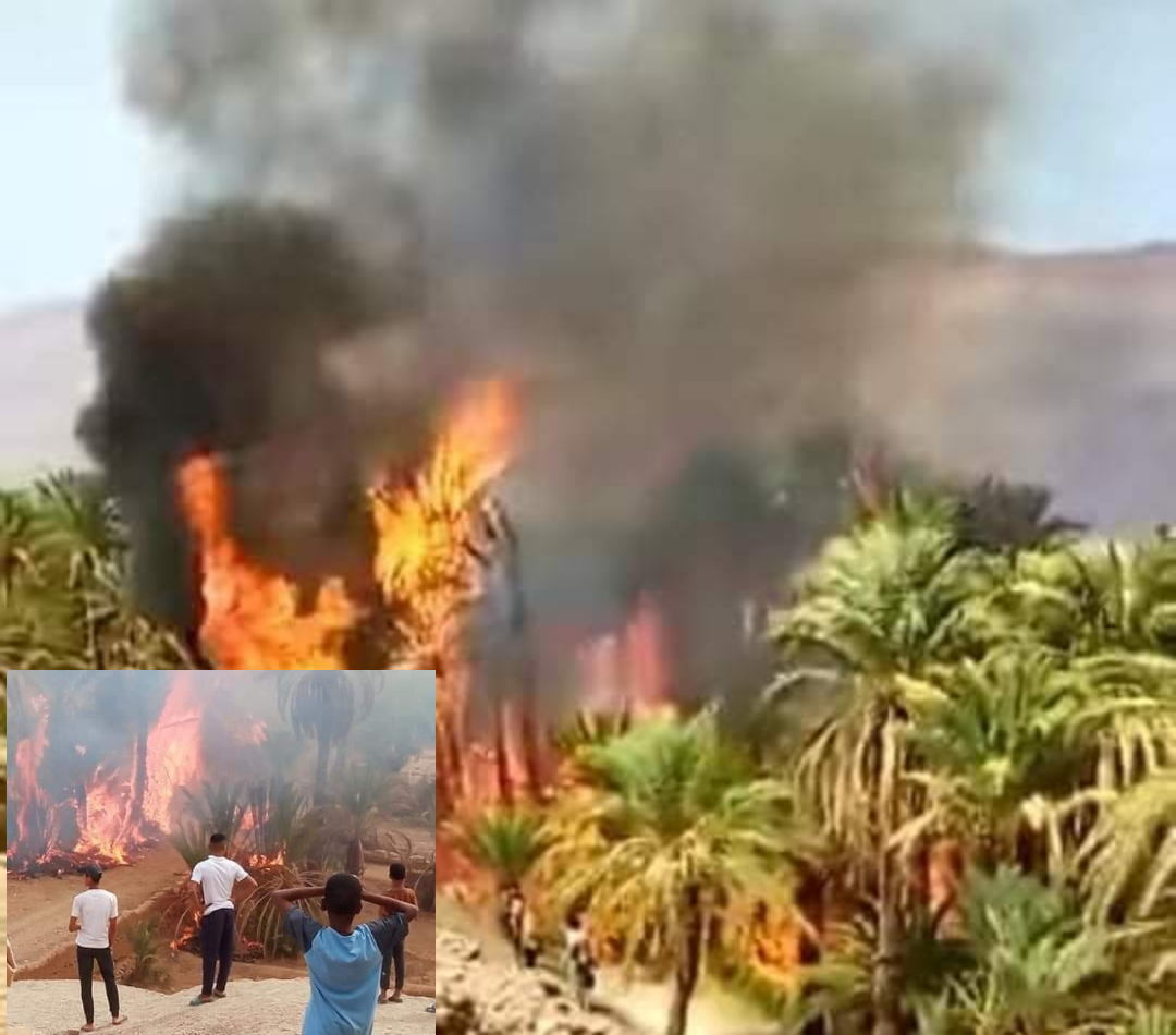 واحة تمزموط تحترق بإقليم  زاكورة