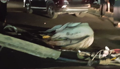 حادثة سير خطيرة راح ضحيتها حيصان على إثر اصطدام مع سيارة خفيفة قرب محطة ولاد زيان بالدار البيضاء