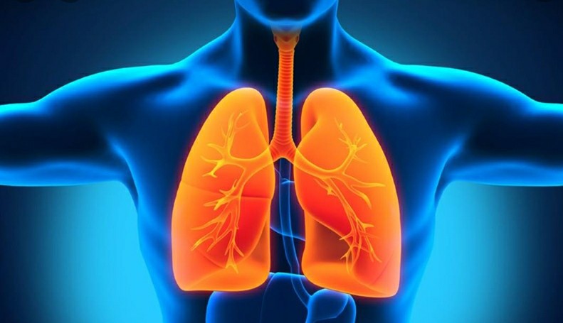 أكادير تحتضن المؤتمر الدولي الأول لأمراض الجهاز التنفسي